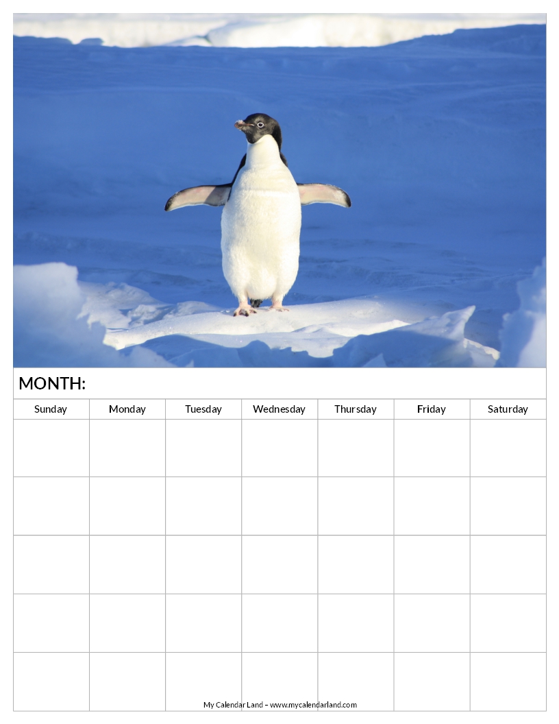 7 day blank calendar printable 105