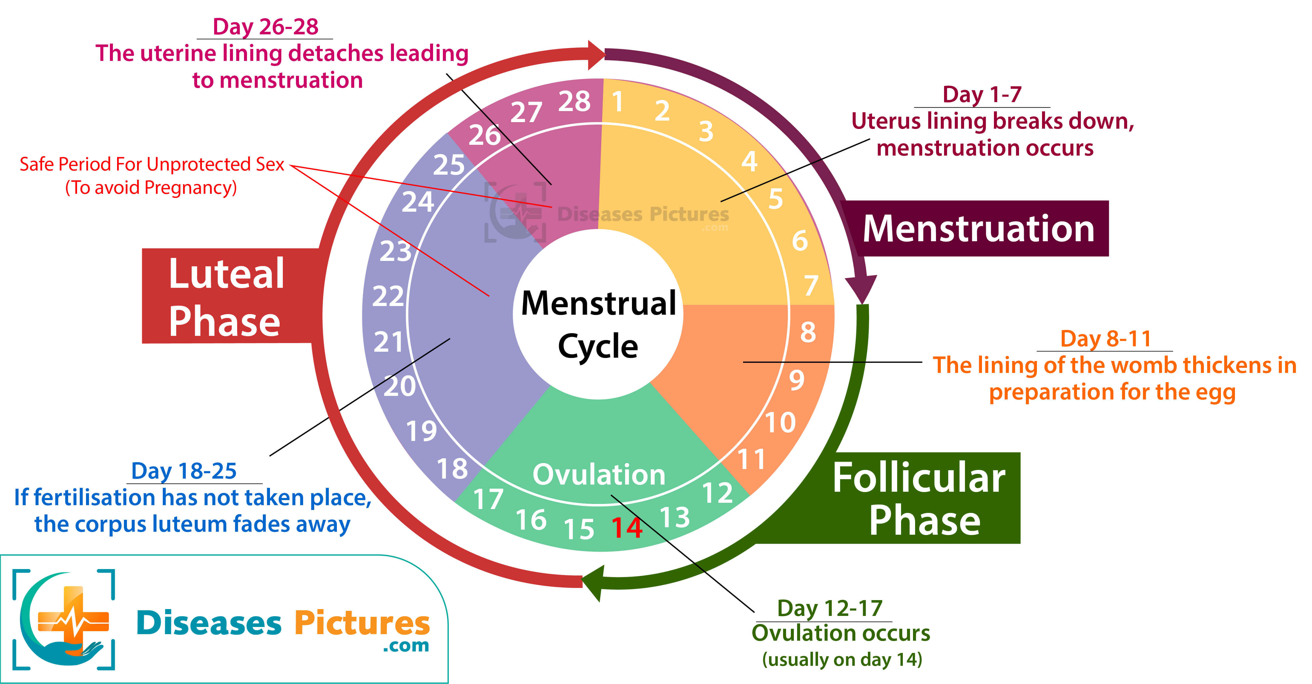 menstruation period chart printable 1