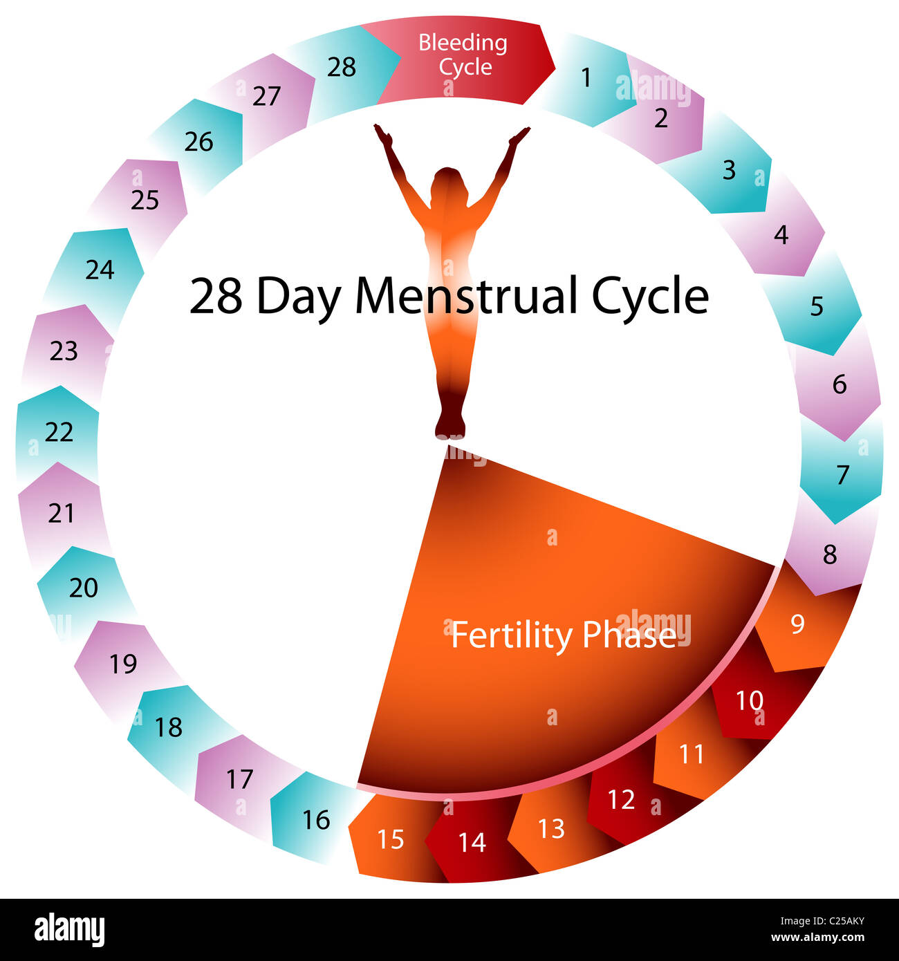 menstruation period chart printable 16