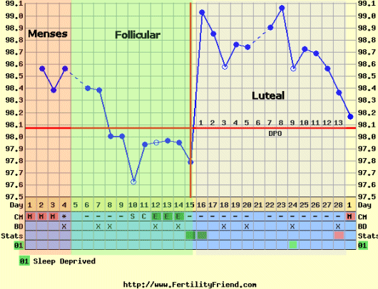 menstruation period chart printable 31