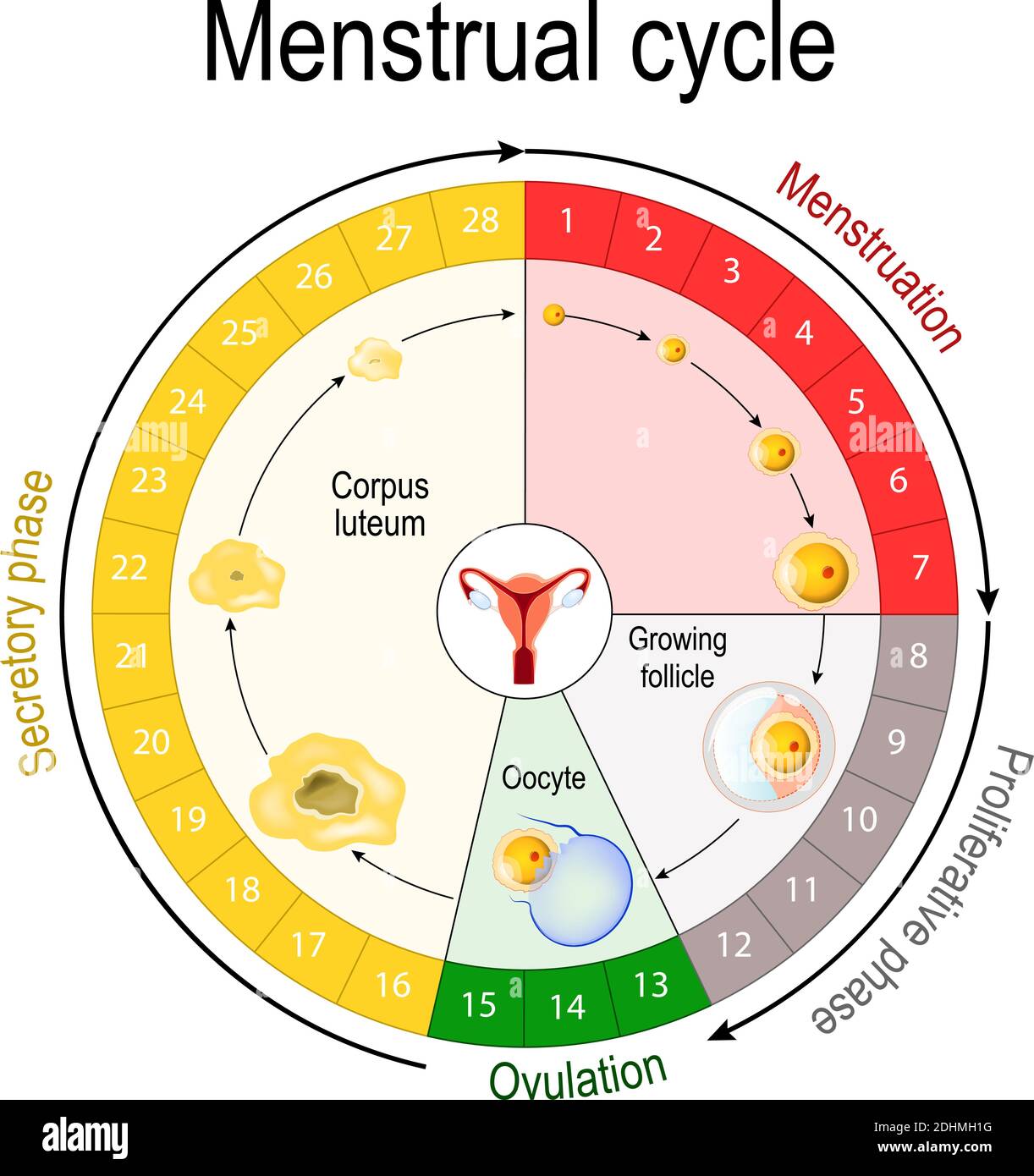menstruation period chart printable 46