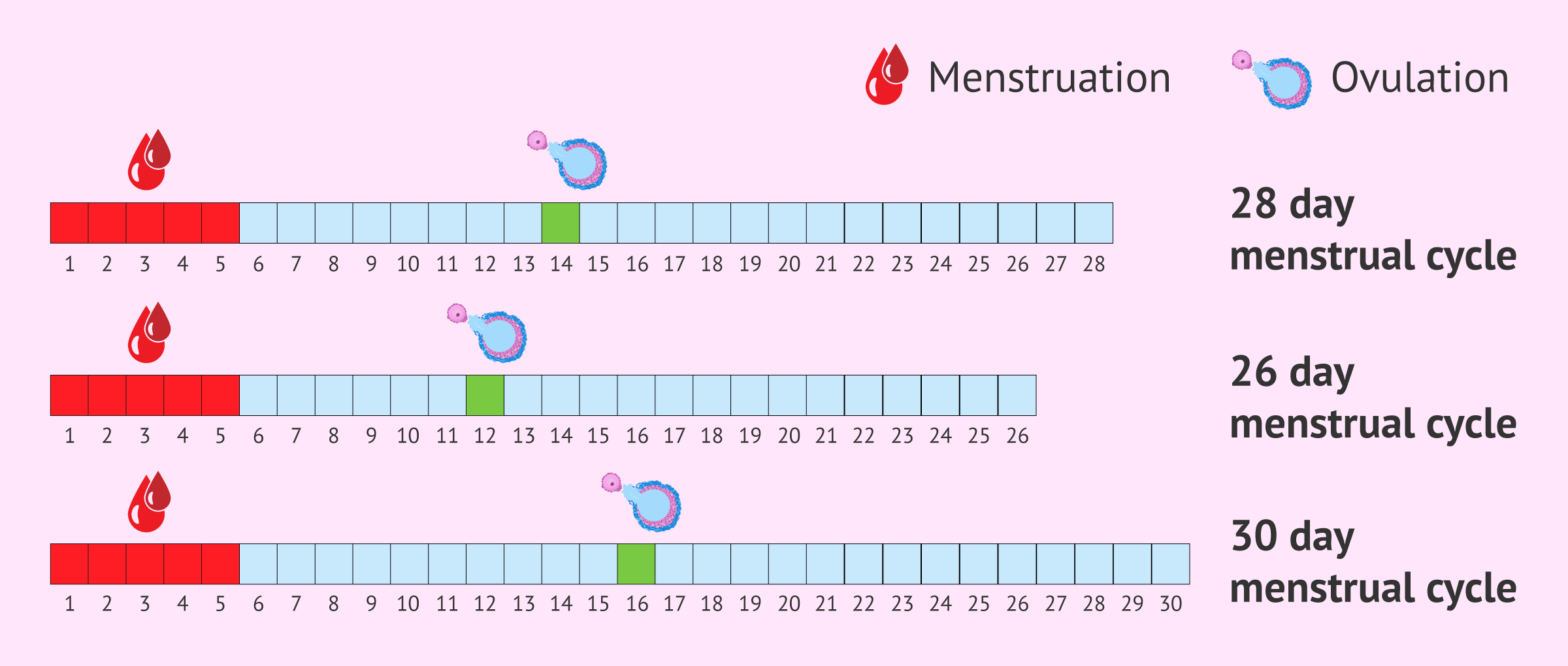 menstruation period chart printable 47