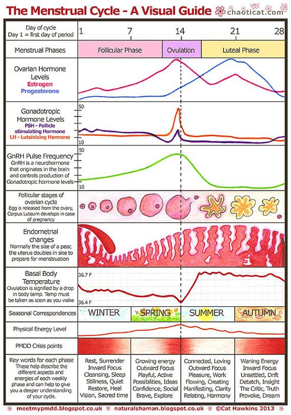 menstruation period chart printable 58