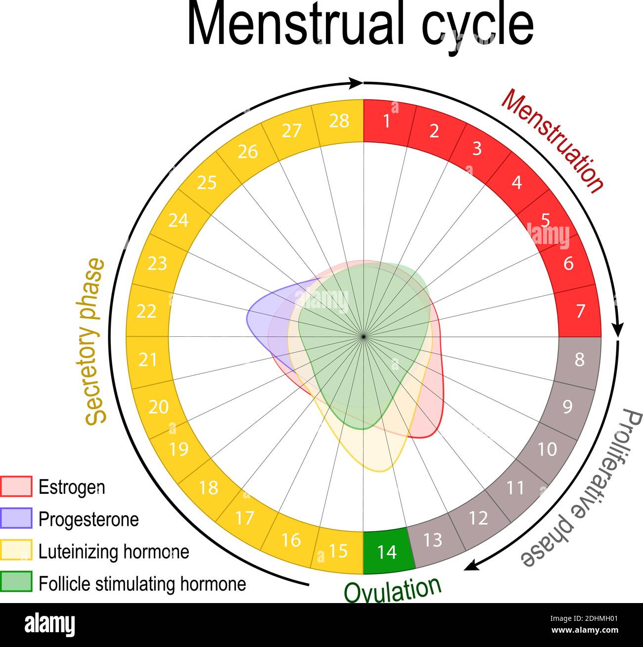 menstruation period chart printable 62