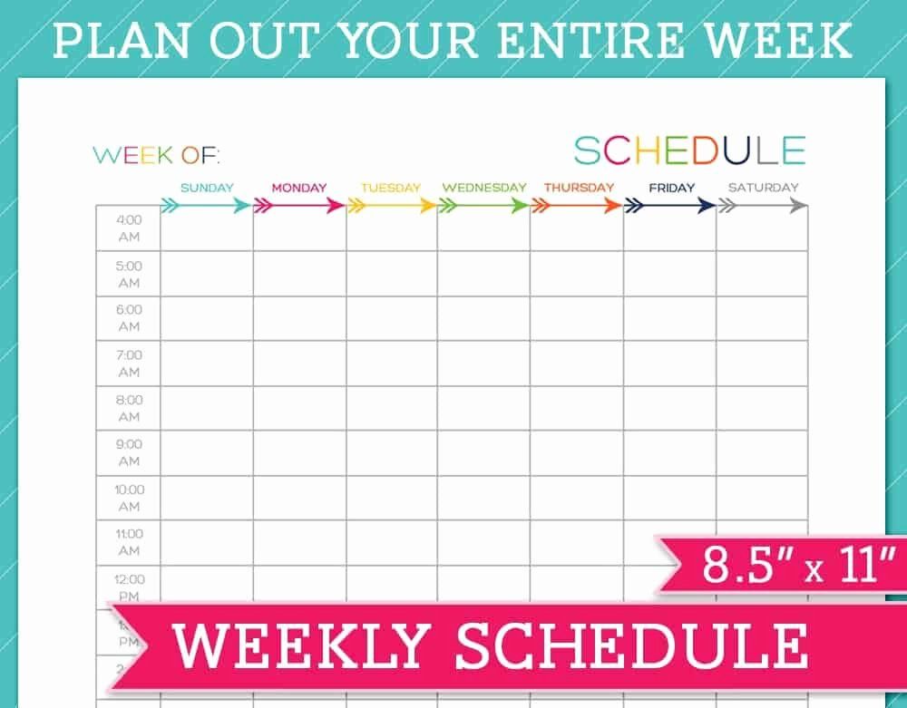 2 week schedule word template 17