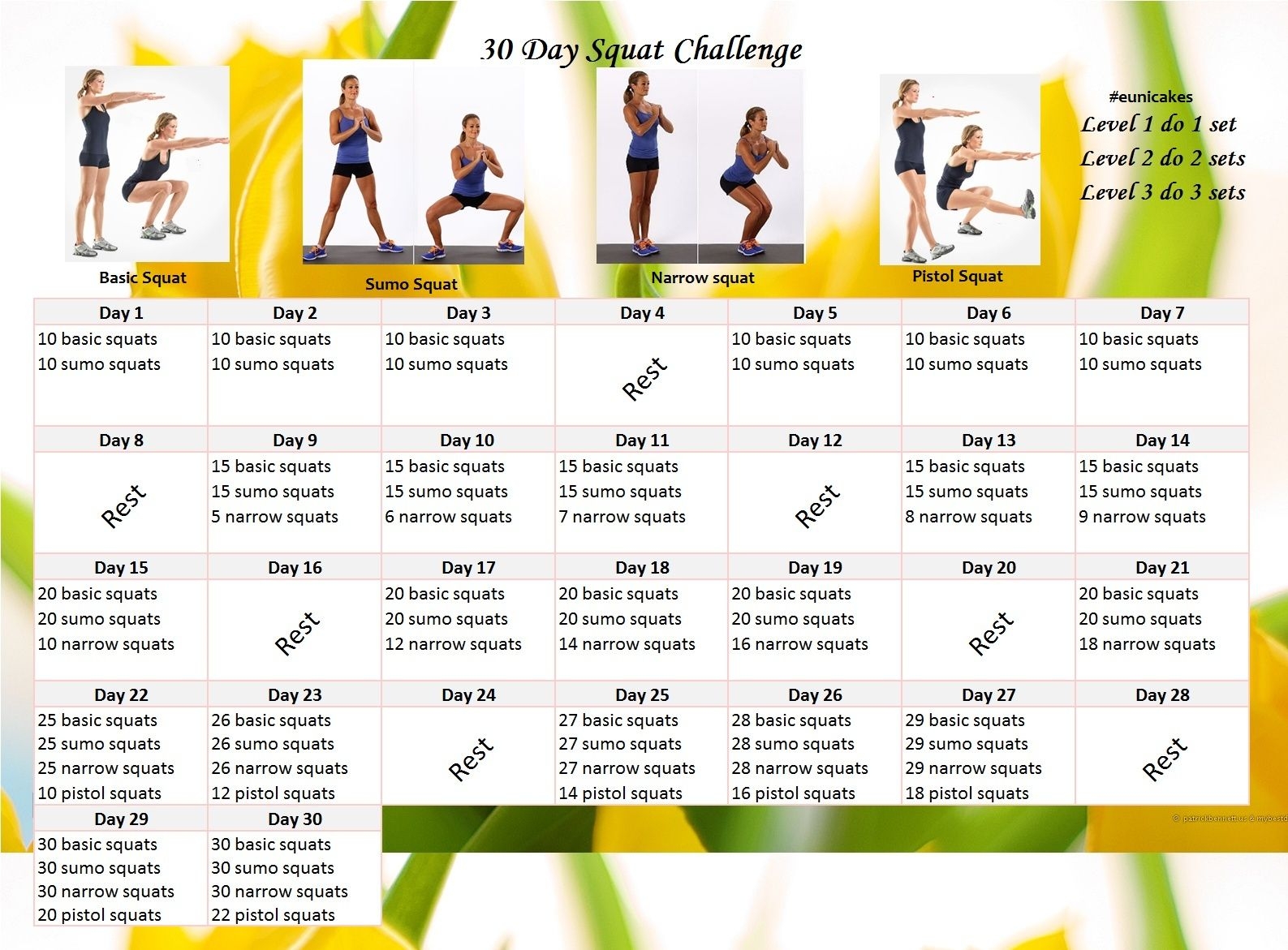 30 day plank challenge calendar printable 38