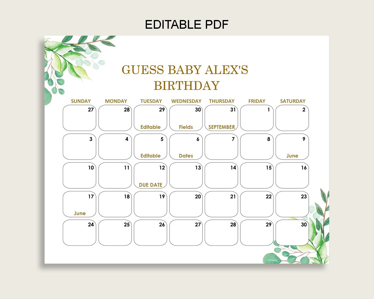 baby due date calendar template 37