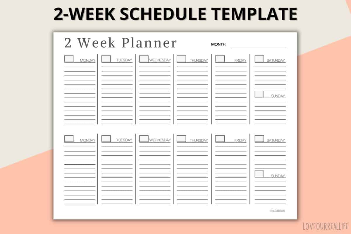 blank printable two week calendar 13