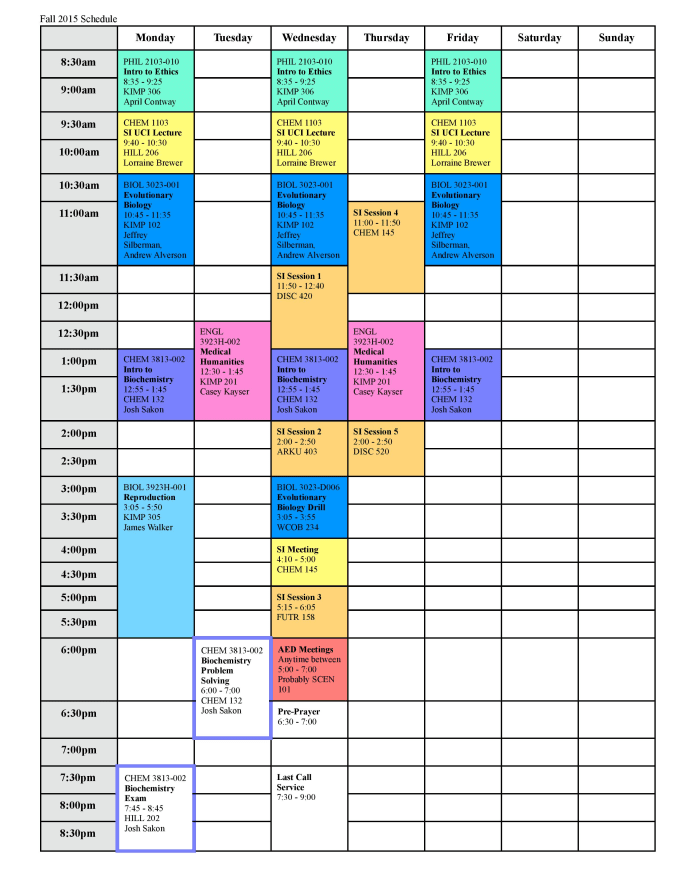 color coded schedule template 2