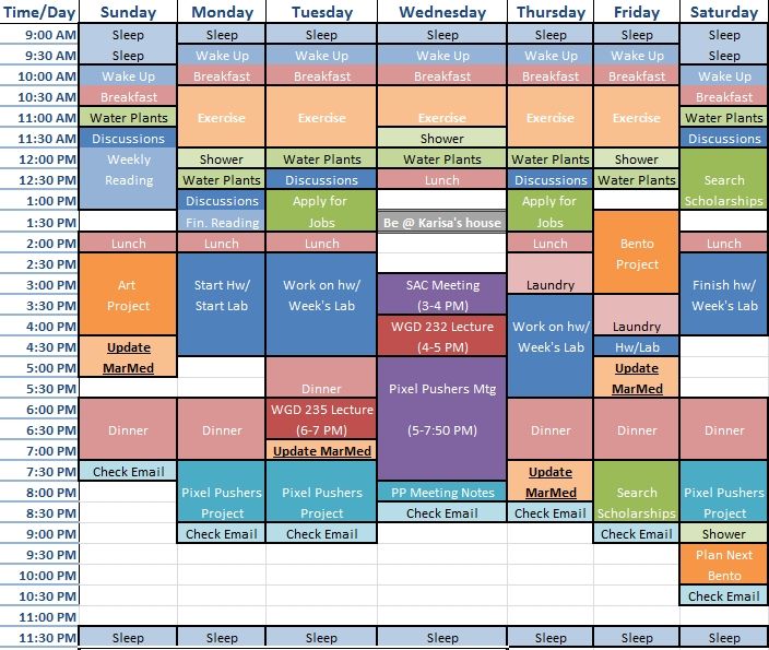 color coded schedule template 21