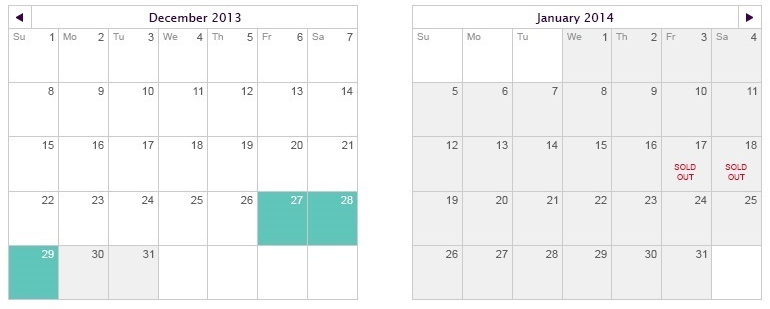 custom date range calendar 19