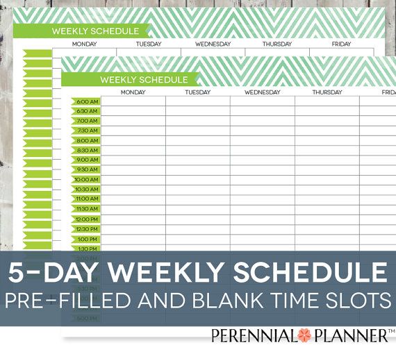 weekly time slots with schedule 66