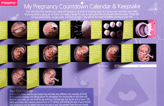 pregnancy count down calendar 100