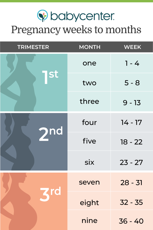 pregnancy count down calendar 104