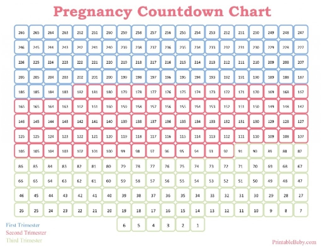 pregnancy count down calendar 41