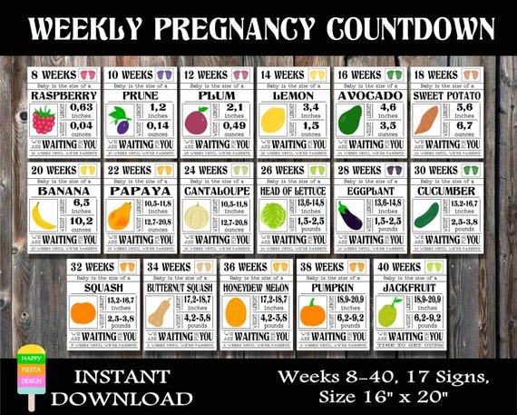 pregnancy count down calendar 53