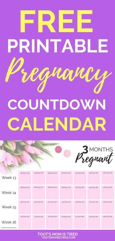 pregnancy count down calendar 76