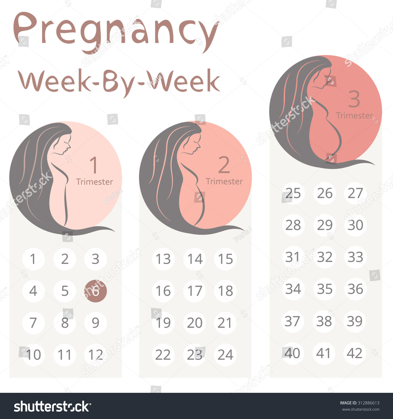 pregnancy count down calendar 84